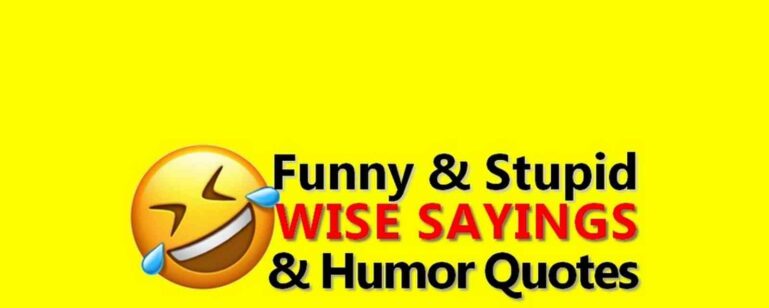Funny Quotes Humor Sayings
