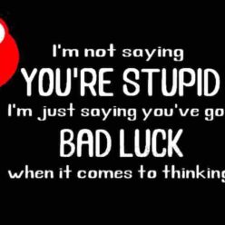 I'm not saying you are stupid...