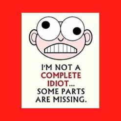 I am NOT a complete fool as people think. Some parts are missing!