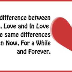Diffrence between like and love