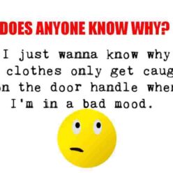 does anyone know why?