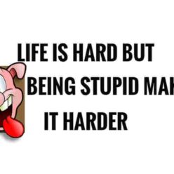 Being stupid makes life hard
