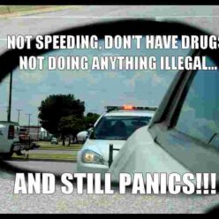 Panic when see police