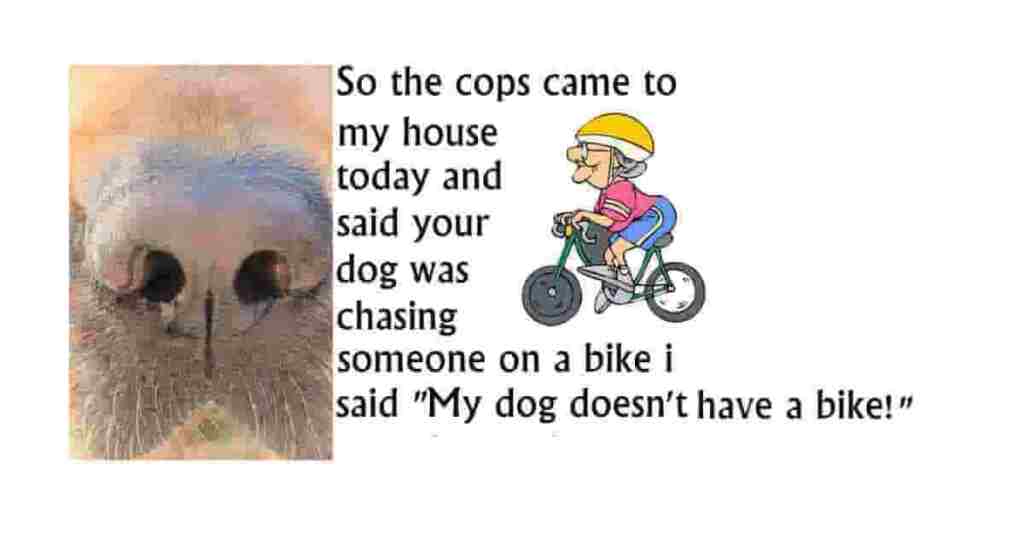 The other day, the cops came to my house and told me that my dog was chasing someone on a bike. I said that it was impossible... my dog doesn't have a bike!