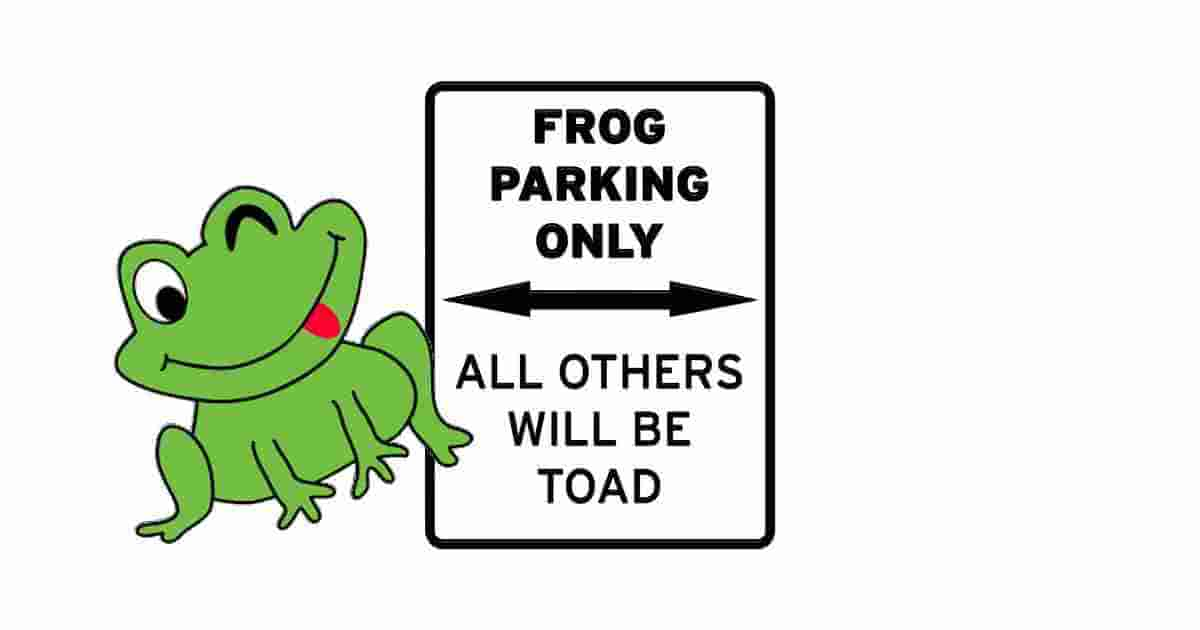 Frog humor funny quote