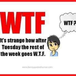 strange week funny quote
