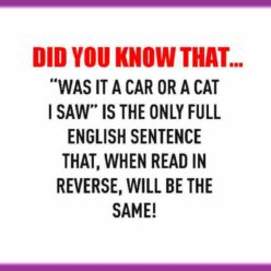 Funny grammar witty language twist. If you read this sentence in reverse, is spelled the same.