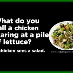Funny Chicken Caesar Salad funny quote