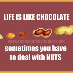 Life veru funny quote