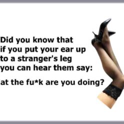 did you know fynny quote