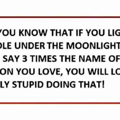 Did you know funny quote