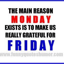 Monday funny quote