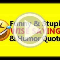 funny video drinking quotes