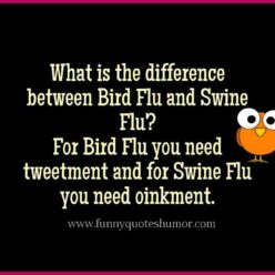 Bird Flu and Swine Flu difference