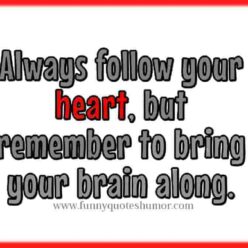 Follow your heart saying