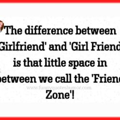 Funny Girlfriend difference humor quote