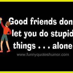 good friends and stupid things