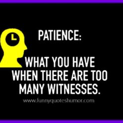 Patience funny definition
