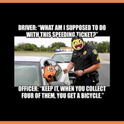 what to do with a speeding ticket