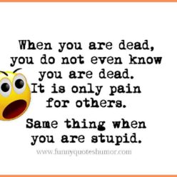 What you don't know after life