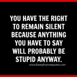 Your civil rights funny quote