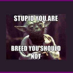 breed-funny