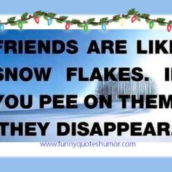 Friends are like snow flakes