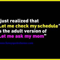 I've just realized that the phrase, Let me check my schedule, is the exact adult version of, Let me ask my mom.