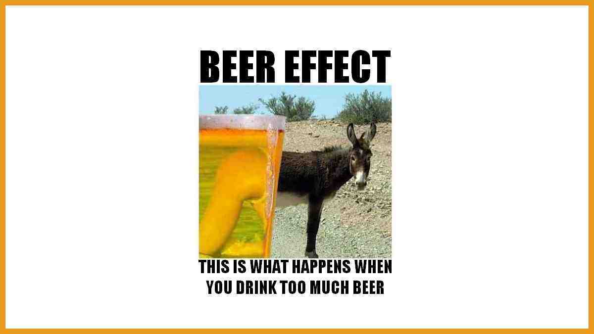 If you drink too much beer even a donkey looks pretty!