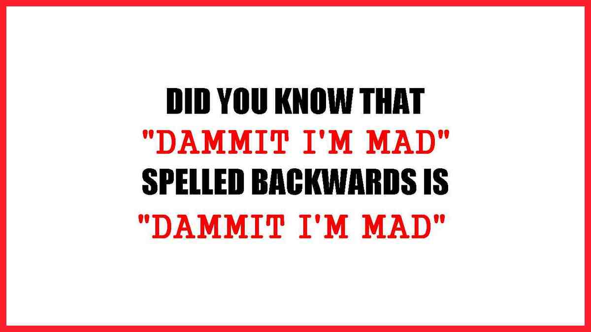 Did you know that if you spell DAMMIT I'M MAD backwards is DAMMIT I'M MAD?