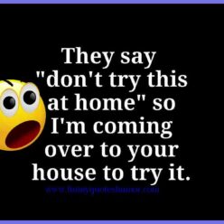 home funny quote