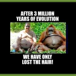 men's evolution humor