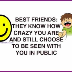humor best friends and you