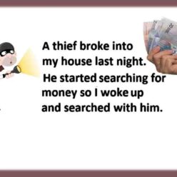 Last night a thief broke into my house, and started searching for money. So I woke up, and also began searching with him!