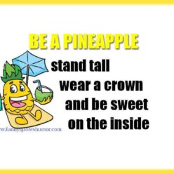 pineapple-humour-2