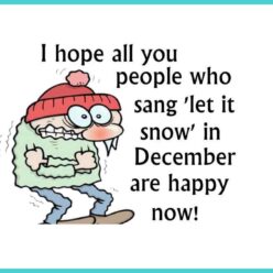 I hope that all of you who sang, "Let It Snow! Let It Snow! Let It Snow!" in December are happy now!