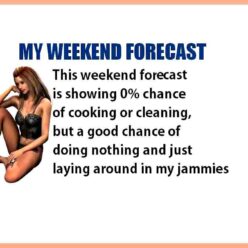 My weekend forecast is showing 0% chances of cooking or cleaning but good chance of doing nothing and laying around in my jammies.