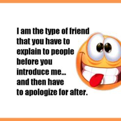 I'm the type of friend that you have to explain to people before you introduce me, and then have to apologize for after...