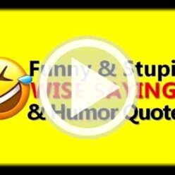 A hilarious funny video quotes