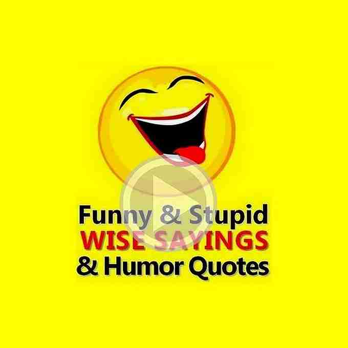 Video funny quotes witty sayings humor.