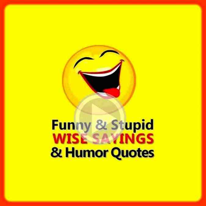 Video podcats funny quotes.